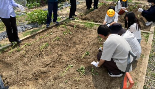 匠農園、絶好調です!
