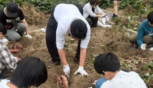 たくさん収穫できました！匠農園の芋ほり