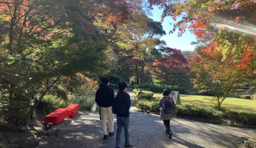 秋の風物詩！紅葉狩りに行きました！
