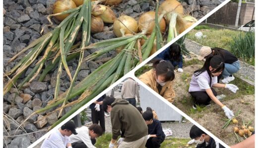いよいよ受験や就活が本格的にスタートします！